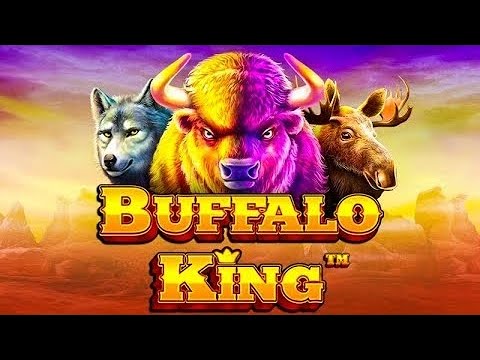 Buffalo King